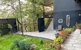 Cosy Studio With Beautiful Garden